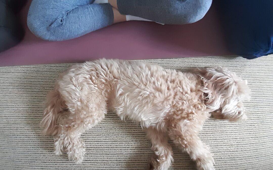 Sally macht Ferien