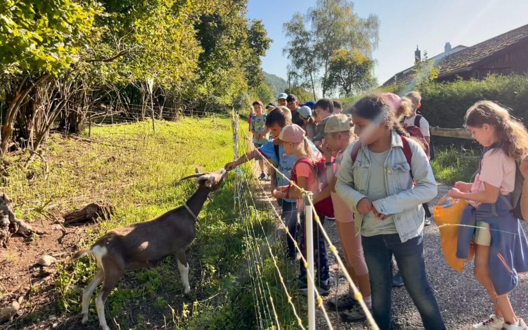 Wandertag der 3.Klasse am 19.09.25