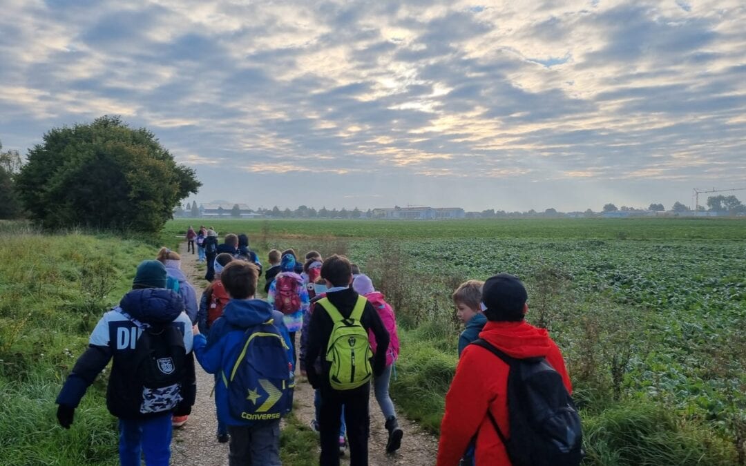 Wandertag der 1.,2. und 4. Klassen